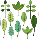 BTS讓球盤玩法梦幻版-BTS讓球盤玩法官方正版下载/IOS苹果/安卓手机/APP客户端